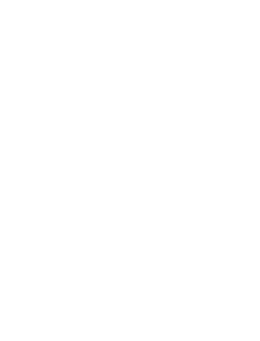 boating accident icon