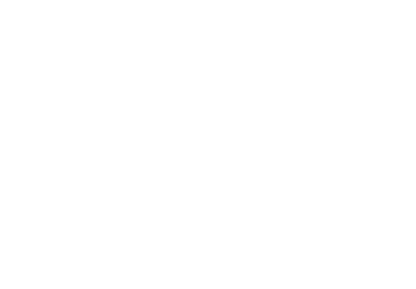 car icon